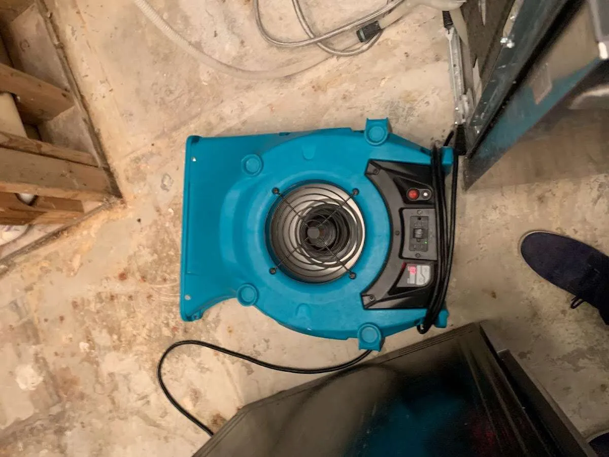 Air mover drying equipment for Mold Remediation & Removal in Princeton
